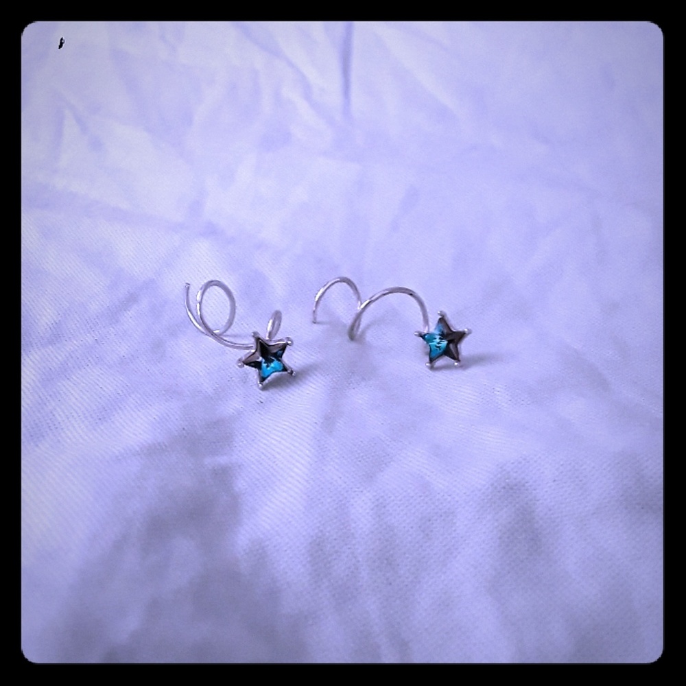 Silver Spiral Earrings